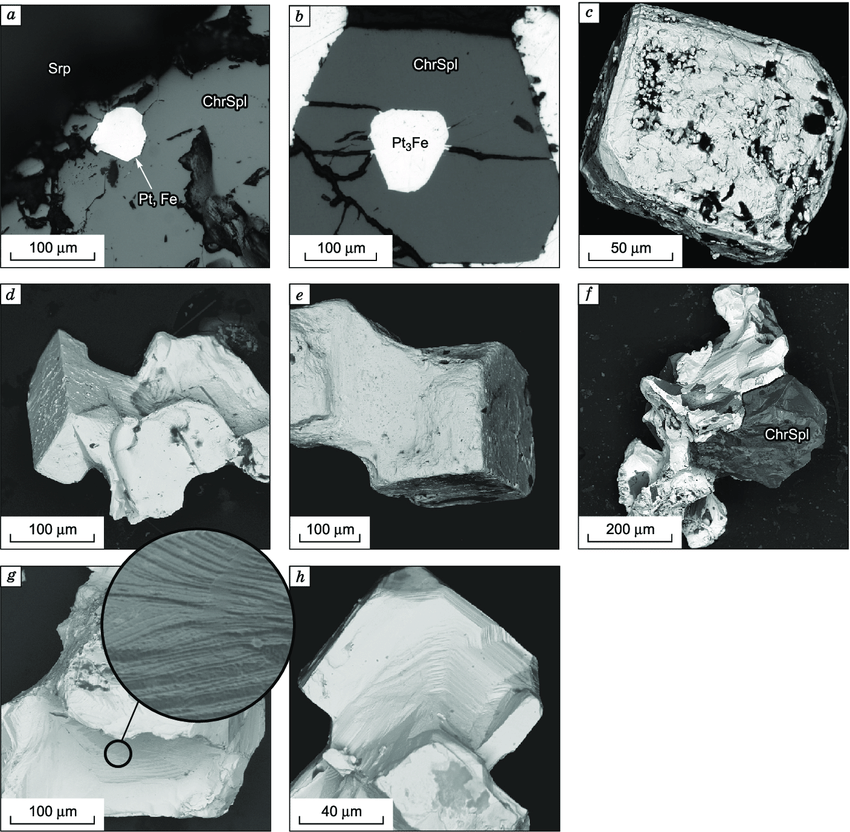 Morphology Of Pt Fe Minerals From Chromitites Of The Nizhnii il A Download Scientific Diagram