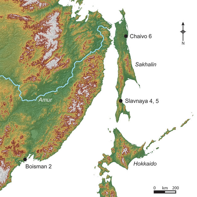 (PDF) Exploring the emergence of an 'Aquatic' Neolithic in the Russian ...