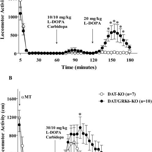 Effect Of L Dopa On Locomotor Activity Of Grk6 Deficient Ddd Mice Download Scientific Diagram