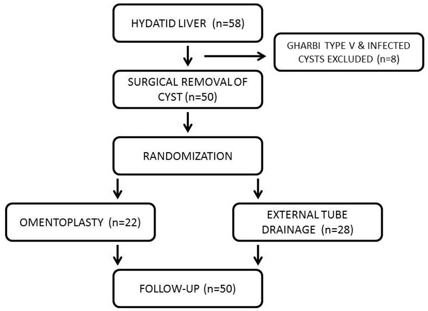 Flow chart showing the design of the study
