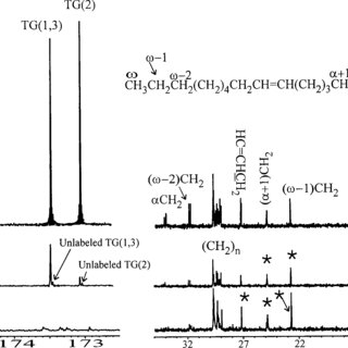 13 C Nmr Spectra Of Lipid Extracts After Cells Were Incubated With Download Scientific Diagram