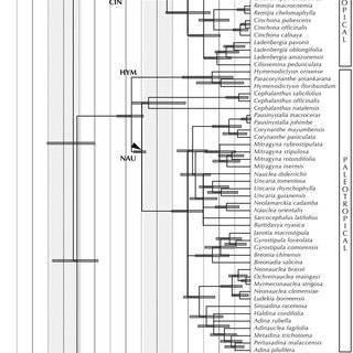 (PDF) Historical Biogeography of the Predominantly ...