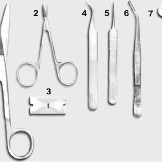 Scissors, Sharp/Blunt Tip, Home Science Tools