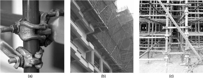 Number Of Different Scaffolding Types Images By Lei Hou A Close Up Download Scientific Diagram