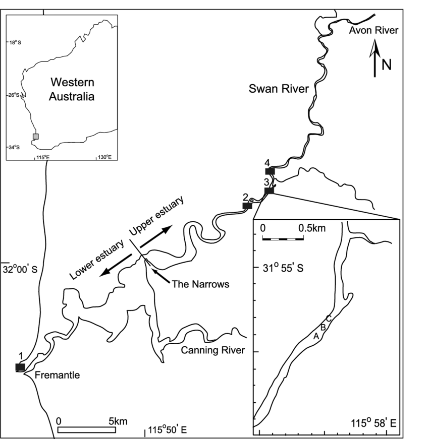 Swan River Fishing Map Location Map Of Swan River Estuary, Western Australia, Showing Sampling...  | Download Scientific Diagram