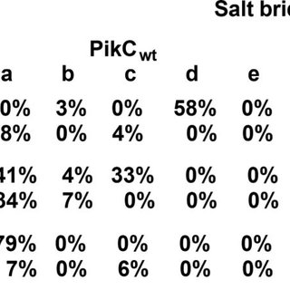 Figure 3. The persistence of the potential salt bridges (>4 ?) between a given substrate anchoring group and different PikC residues (percentages measured from MD simulations) are shown; (+)/(?) distinction refers to menthol absolute configuration.