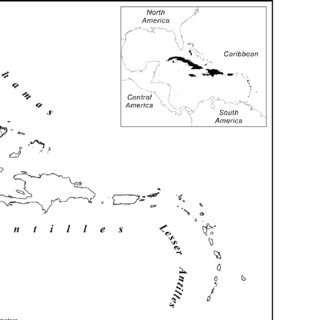 (PDF) Detecting the small island effect and nestedness of herpetofauna ...