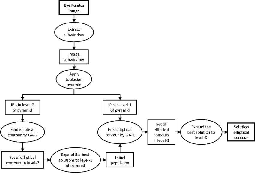 Method block diagram summarizing the whole process | Download