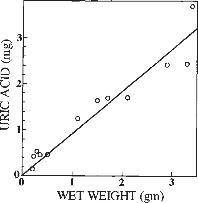 Kinetics of urate accumulation in C. inflata. Animals were prepared as in the Methods section and the wet weight and urate content determined from field collected adults.
