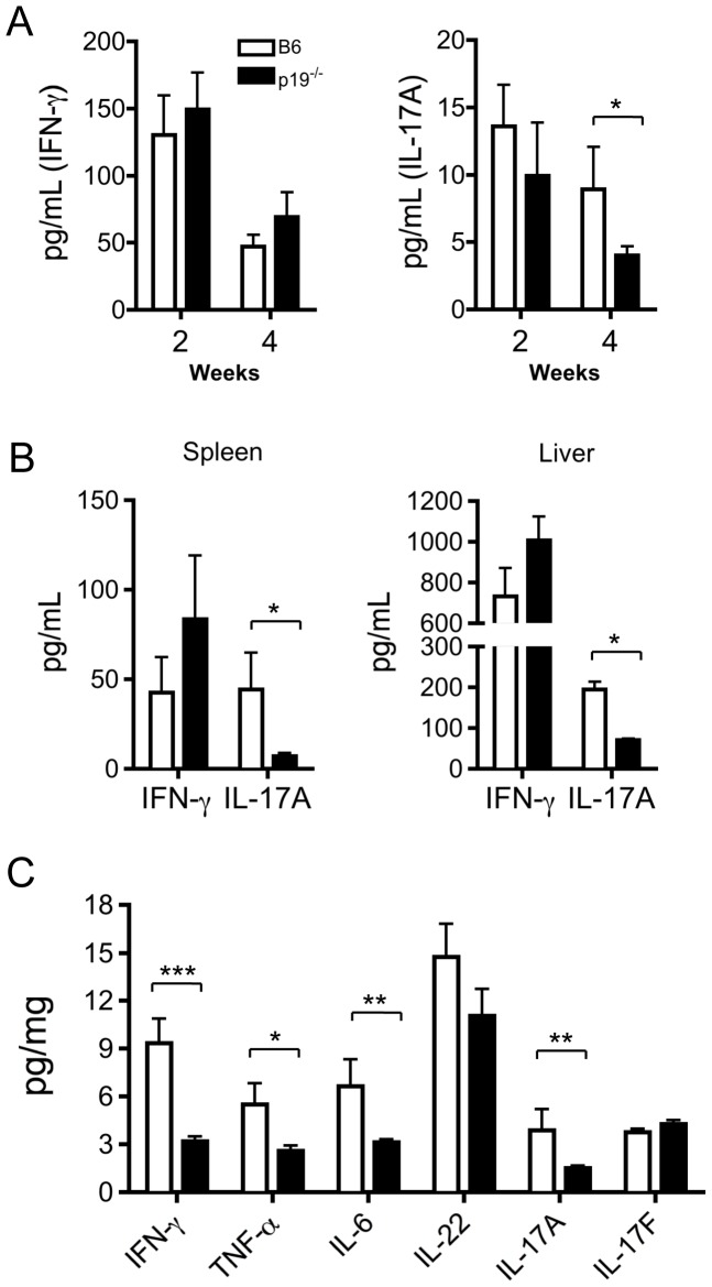(A) Serum levels of IFN-γ and IL-17A in B6 and IL-23p19−/− mice 2 and 4 weeks after initial 2OA-BSA immunization. (B) Production of IFN-γ and IL-17A in supernatant fluids of cultured splenic and hepatic MNCs (n = 4) with anti-CD3/CD28 mAbs for 3 days (C) inflammatory cytokines in extracted liver protein from WT mice (n = 8) and IL-23p19−/− (n = 8) mice. *p<0.05, **p<0.01, ***p<0.001.