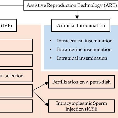 Classification of ART technologies and main steps of IVF | Download ...