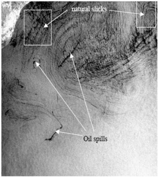 Examples of oil spills and slicks in a SAR image near Barcelona. 