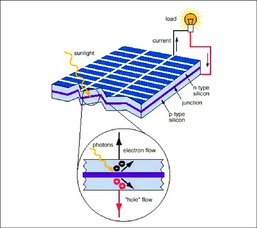 Schematic of the basic structure of a silicon solar cell  