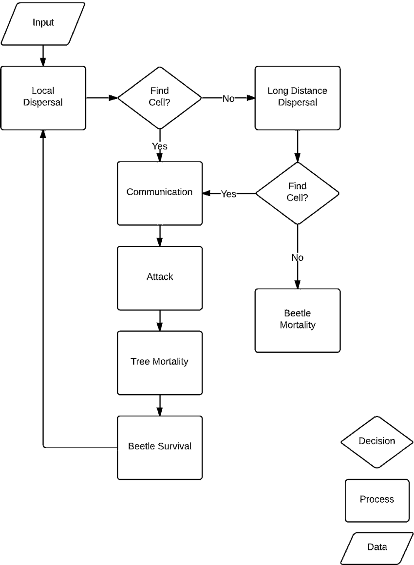 Input Process Output Flowchart