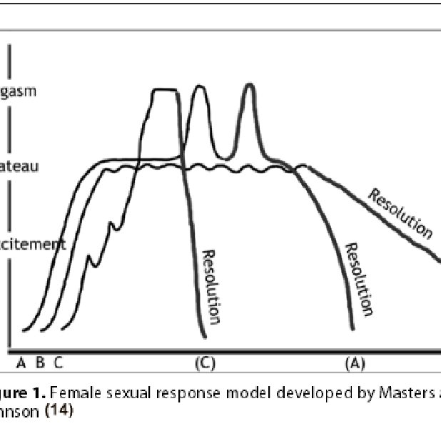 Kaplan S 3 Phase S Human Female Sex Response Cycle Download Scientific Diagram