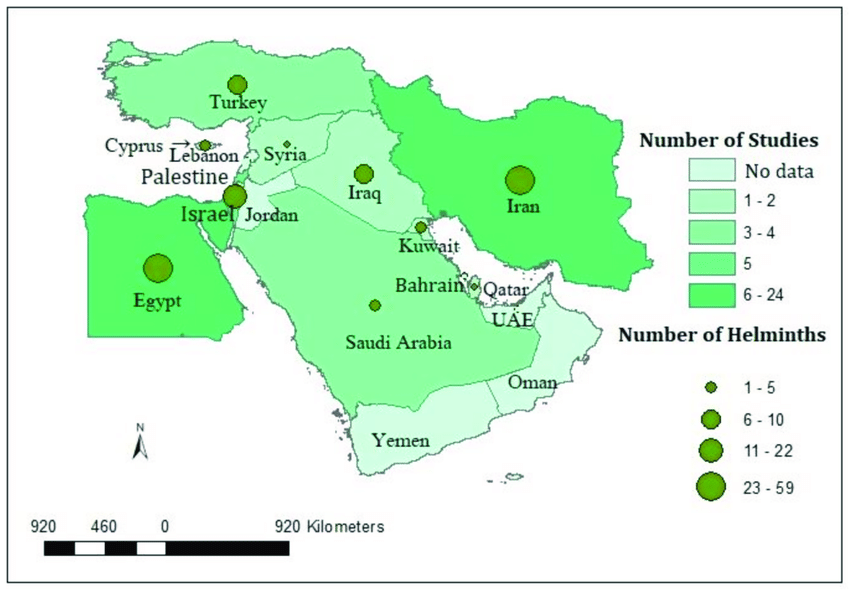 The map depicted the Middle East countries with the total number of studies and the number of helminths detected in rodents.