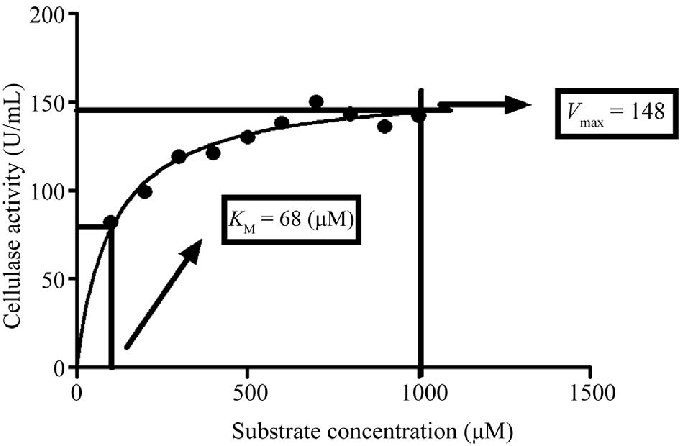 Determination Of K M And V Max For Purified Cellulase Through Download Scientific Diagram