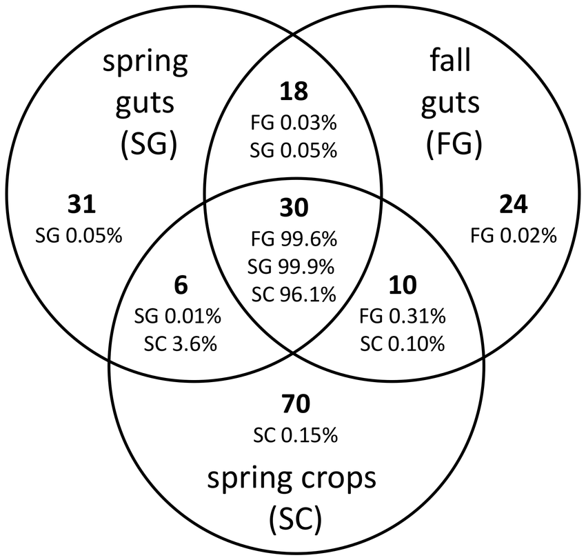Bacterial taxa shared among the pyrosequencing libraries from the gut ...