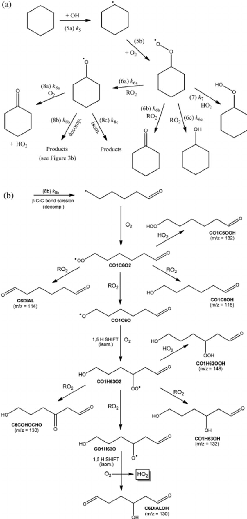 What does cyclohexane do