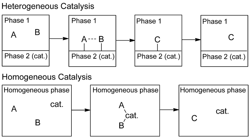Homogeneous Versus Heterogeneous Catalysis Download Scientific Diagram