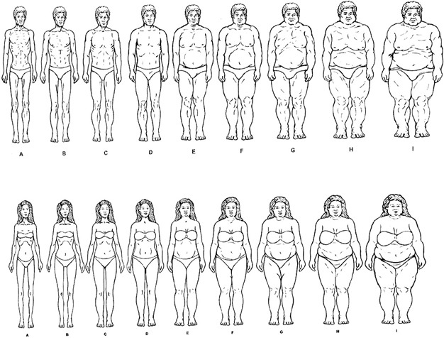Male and female body image instrument (master form). | Download