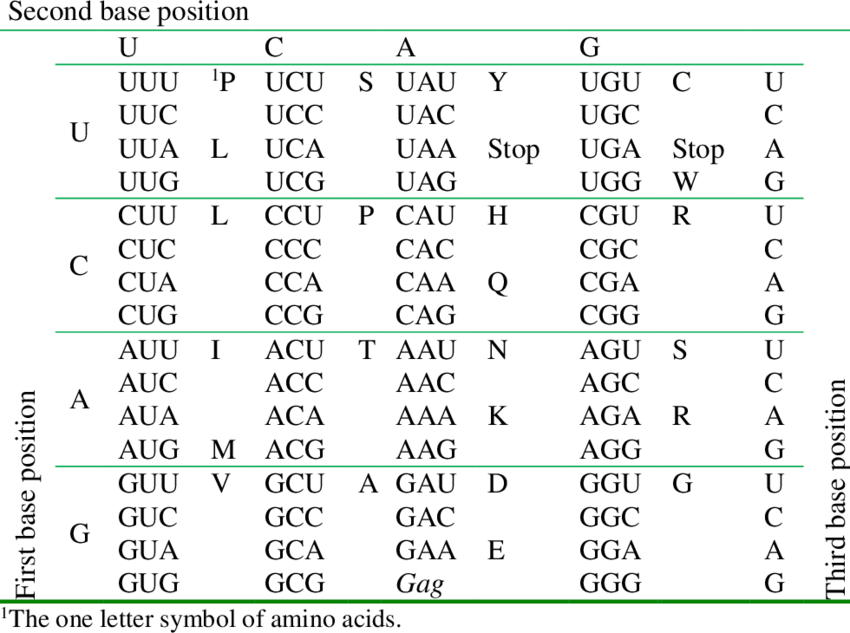 The Standard Genetic Code Table Download Table