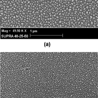 Fig. 2. SEM images showing the surface morphology of the annealed Fe films in heating zone (a) and outside (b) of furnace. 