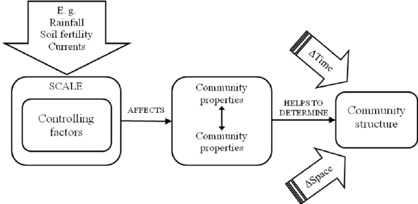 Hypothetical research program to understand how are communities structured. First, controlling factors a their appropriate scales (e.g. climate) affect community properties and in turn they help to determine community structure through changes in space and time. Second, community structure can be better understood after assessing how community properties are interrelated with one another (becoming ‘controlling factors’ of each other). 