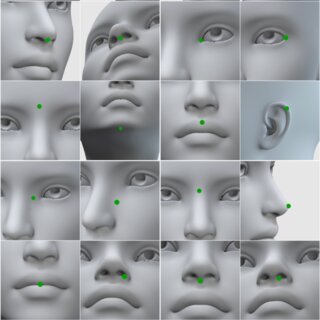 Nose types used. From top left to bottom right in order: Crooked