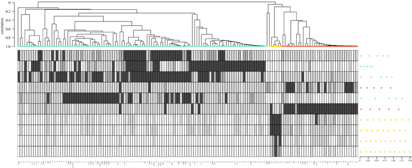 Average linkage hierarchical clustering dendrogram (top) depicting ...