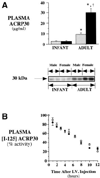 A Male U N 5 And Female F N 5 Circulating Acrp30 Levels Download Scientific Diagram