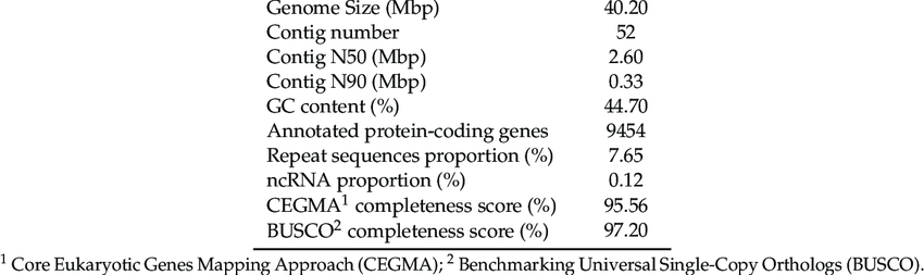 Summary of the P. penicillatus CCMJ2836 genome.