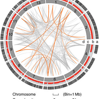 Pdf Genome Sequence Of The Model Medicinal Mushroom Ganoderma Lucidum