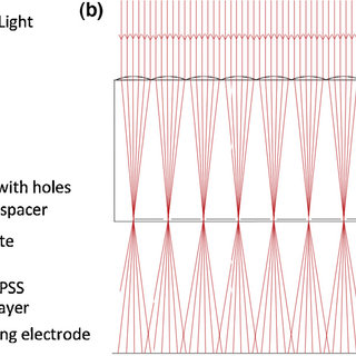 (PDF) Light trapping in thin film organic solar cells