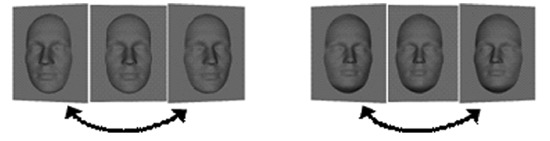 concave vs convex face