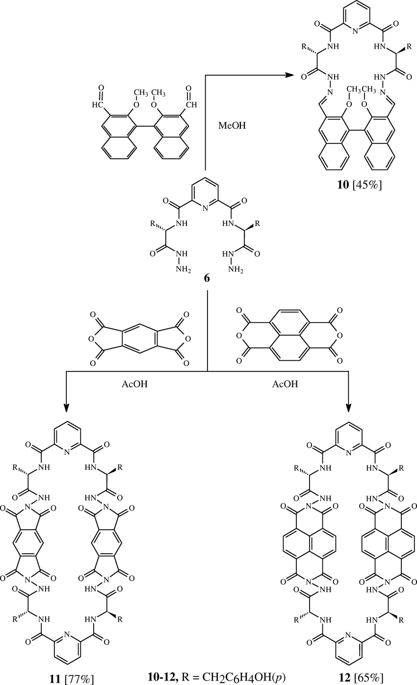 Scheme 4. Synthetic routes for macrocyclic compounds 10-12.