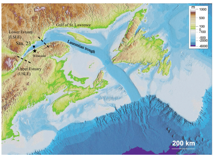 Остров святого лаврентия северная америка. Северная Америка залив Святого Лаврентия. Залив Святого Лаврентия на карте. Залив Святого Лаврентия на карте Северной Америки. Залив Святого Лаврентия на карте Северной.