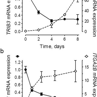 TPO Induces A Time And Dose Dependent Decrease Of TRIB MRNA Levels Download Scientific
