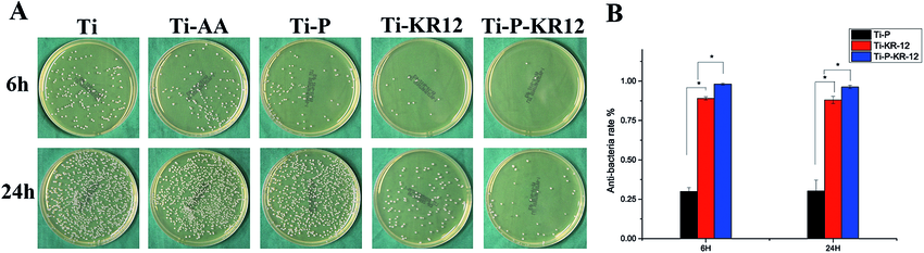 A Spread Plate Method To Characterize Live Bacteria On Various Ti Download Scientific Diagram