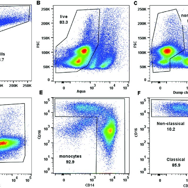 Flow Cytometry Gating Strategy To Identify The Three Monocyte Subsets My Xxx Hot Girl