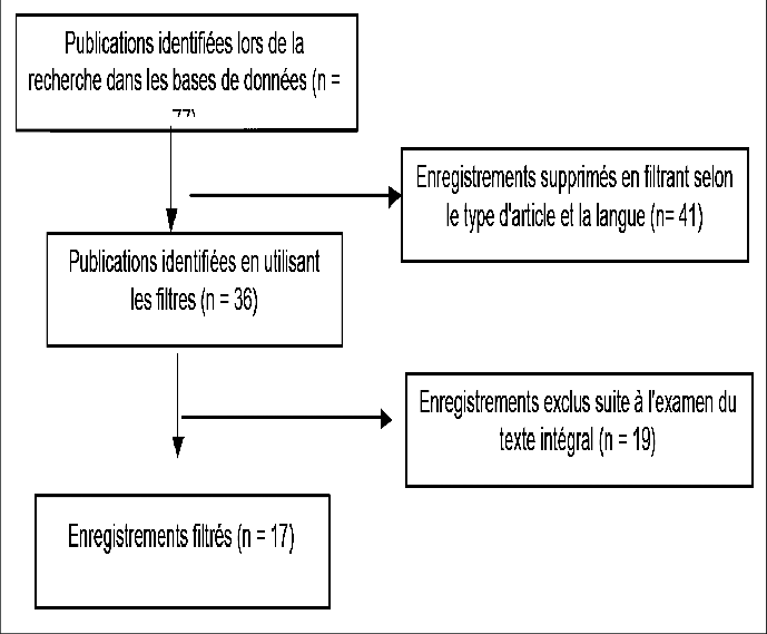 modèle de diagramme de processus de flux