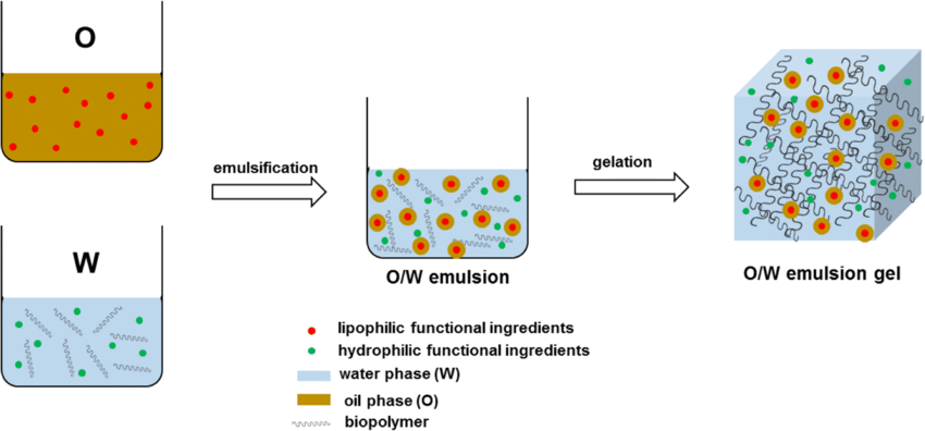 The formation of an emulsion gel (O/W) and the encapsulation of lipophilic and hydrophilic functional ingredients