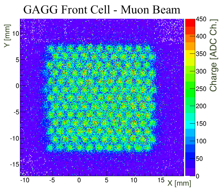 Signal map for the front central cell generated by a muon beam parallel to the prototype main axis. The X and Y coordinates are given by the DWCs, whereas the color scale represents the energy deposited inside the prototype in ADC channels.