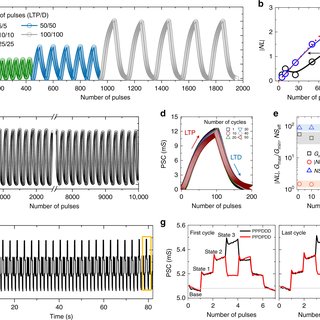 Physically defined long-term and short-term synapses for the development of  reconfigurable analog-type operators capable of performing health care  tasks