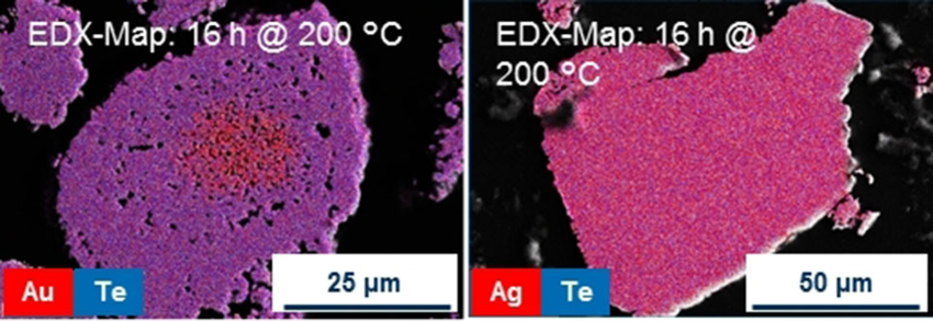 EDX map of the solid reaction products from the synthesis in [P66614]Cl after 16 h at 200 °C. Left: Au+2 Te; particle with unreacted gold in a shell of AuTe2. Right: 2 Ag+Te; even large particles show homogenous distribution of silver and tellurium in the molar ratio 2 : 1.