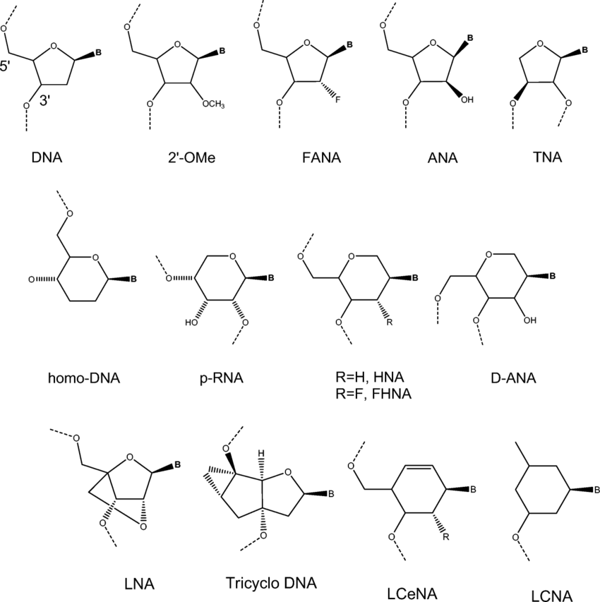 Repeat units for some alternative nucleic acids with five- and six-membered ring sugar units and for some conformationally strained nucleic acids