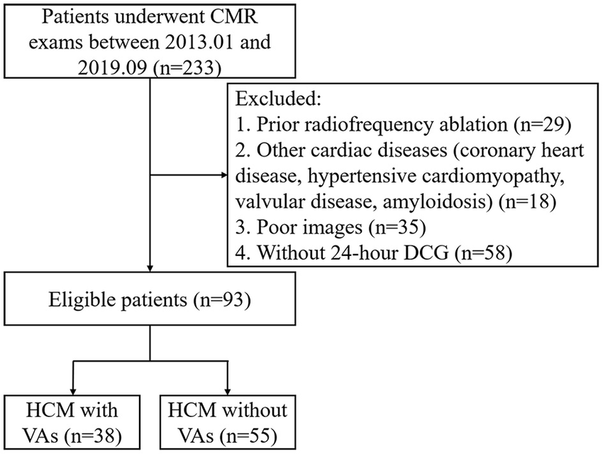 Frontiers  Association Between 2D- and 3D-Speckle-Tracking Longitudinal  Strain and Cardiovascular Magnetic Resonance Evidence of Diffuse Myocardial  Fibrosis in Heart Transplant Recipients