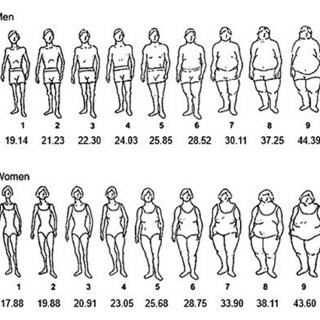 BMI-assigned Stunkard Scale [7] based on data from SOS reference study ...