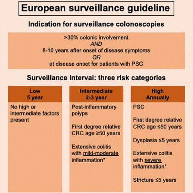 Surveillance strategy of the European Crohn's and Colitis Organisation