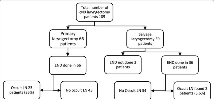 Details of END in cN0 (pharyngo)laryngectomy patients